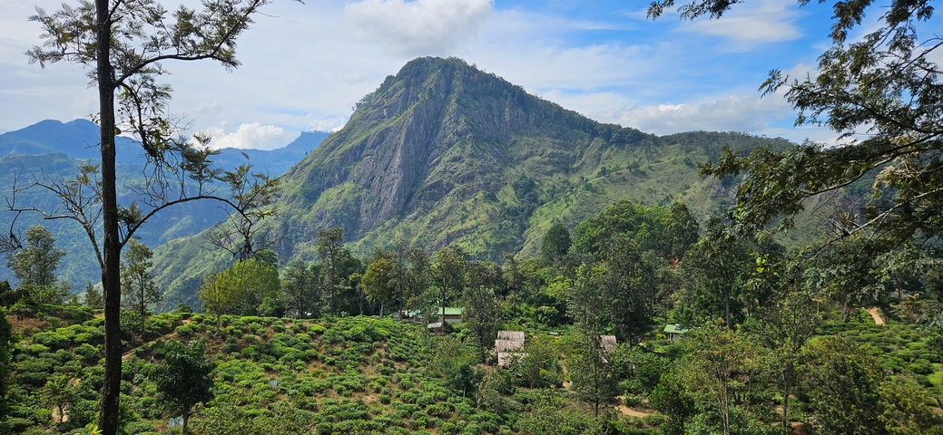 Majestic mountain landscape with green hills.