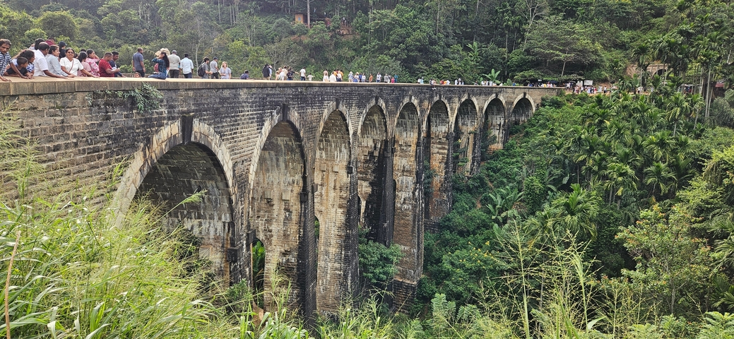Historic arched bridge with scenic background.