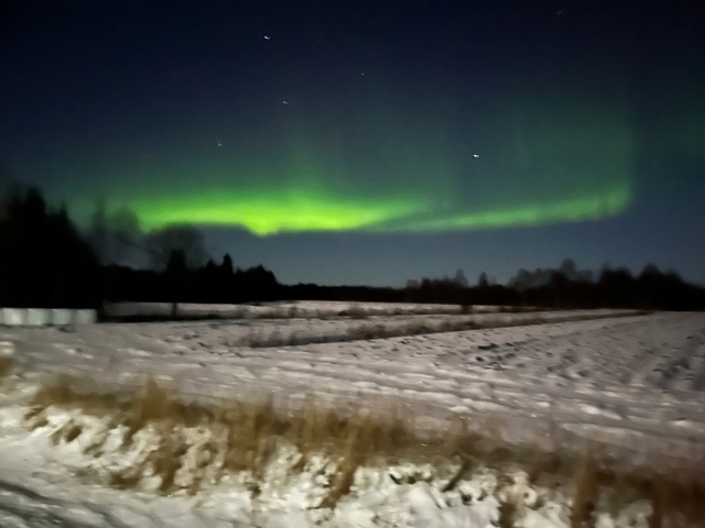 Northern lights over a snowy field.