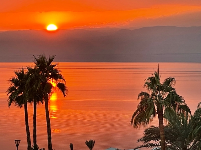 Sunset view over a body of water with palm trees.
