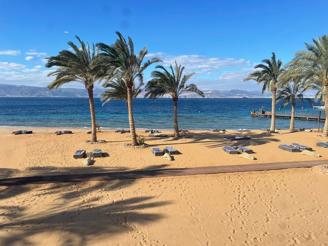 Beach view with palm trees and sun loungers.