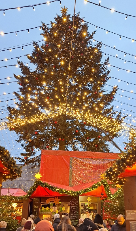 Close-up of a brightly lit Christmas tree with decorations.