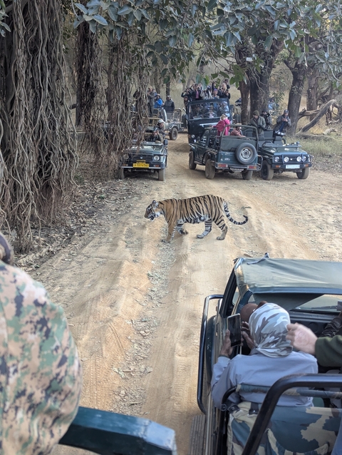 Itinerary Image 3