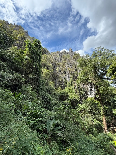 Lush green landscape with rocky cliffs under a blue sky.