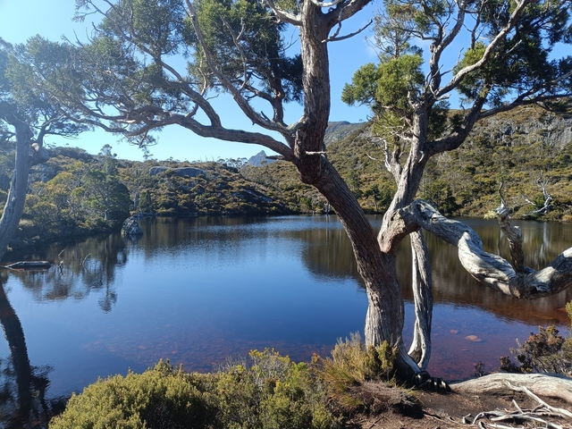       Reflection of trees and mountains in a calm lake.
  