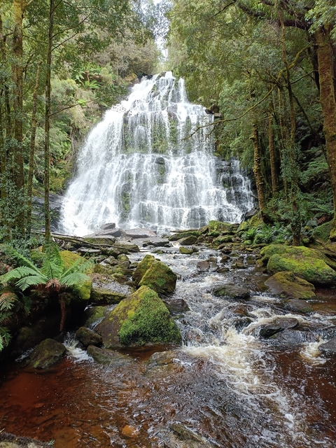       Waterfall cascading over rocks in a forest setting.
  