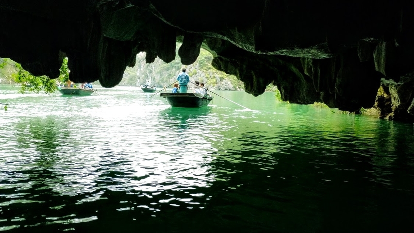 Boat tour through a water cave with lush greenery.