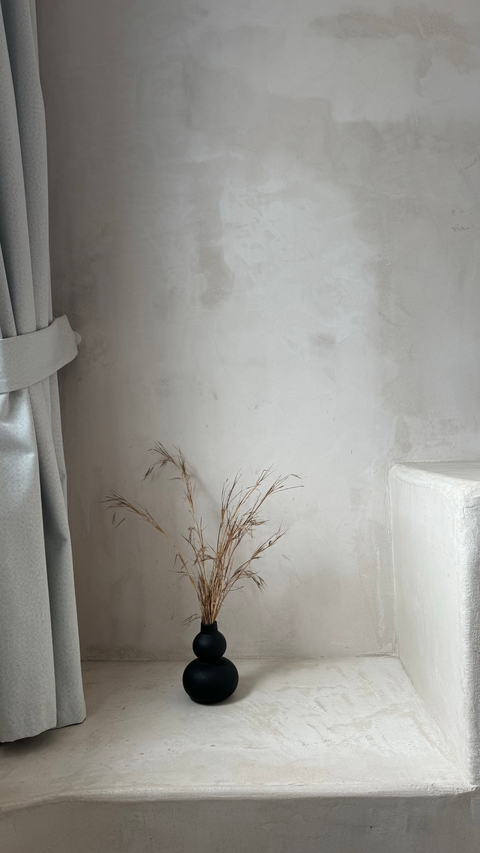       Minimalist interior decor with a plant and beige wall.
  