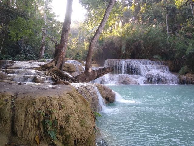       Tranquil waterfall scene with trees and turquoise water.
  