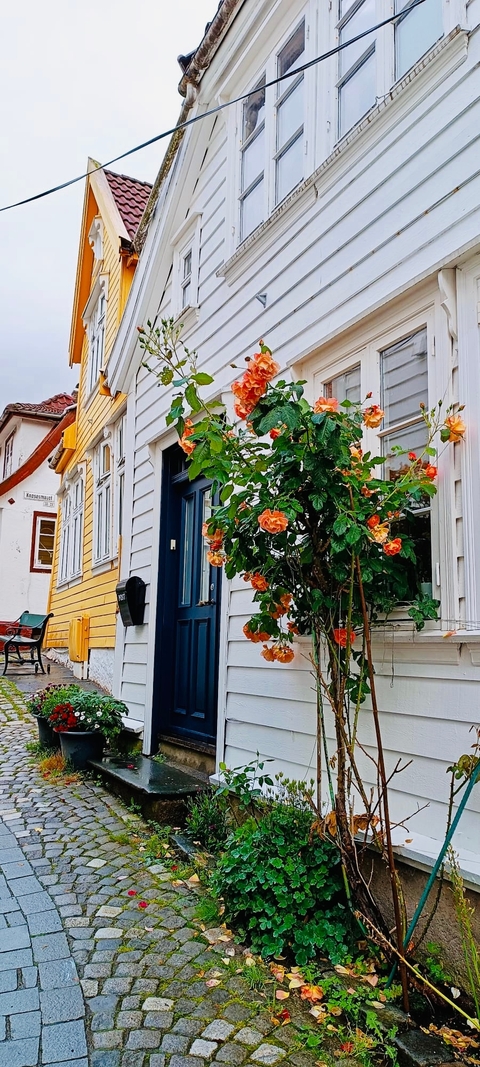 Klantbeoordelingsfoto van Scandinavische vakantie 