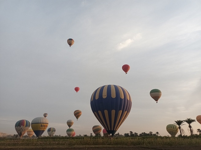 Hot air balloons in the sky during early morning.