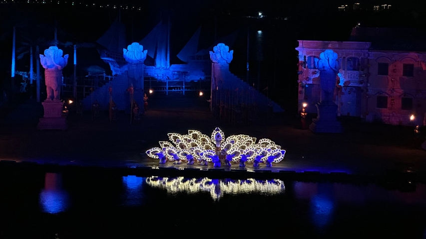 Illuminated peacock-shaped artwork reflected on a body of water at night.