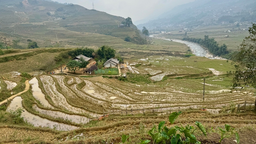 Vast view of terraced rice fields with a winding river.