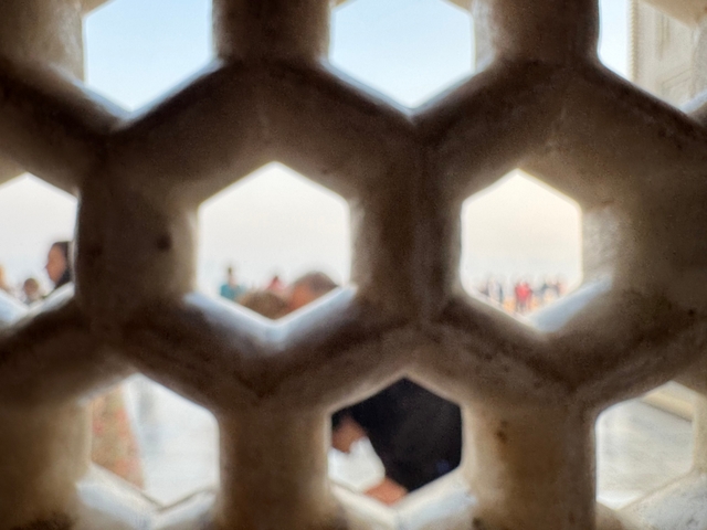       Blurry image taken through a lattice window.
  