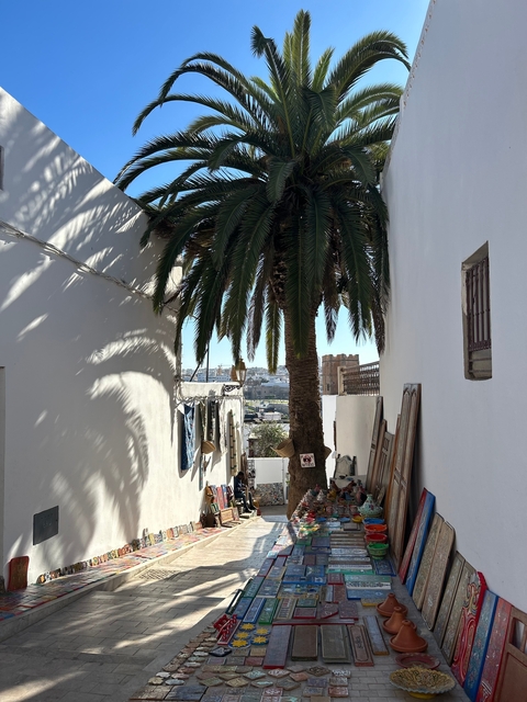       Narrow street with palm tree and distant city view.
  