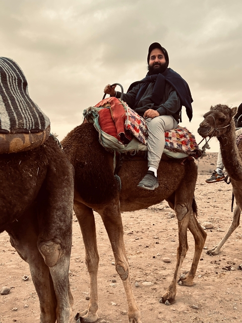       Camels with riders on a rocky terrain.
  