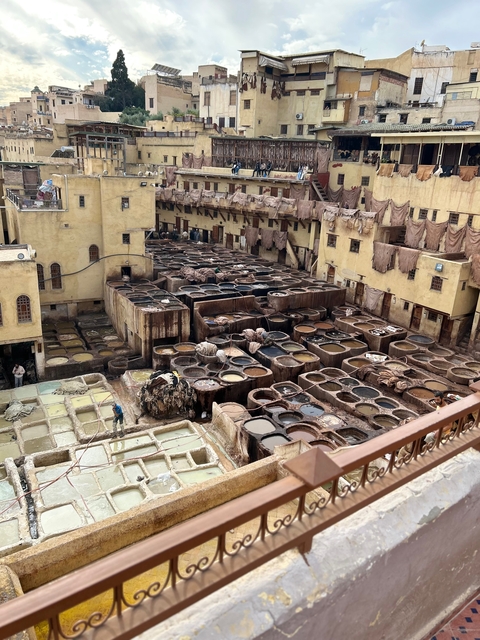      Overview of a traditional tannery.
  