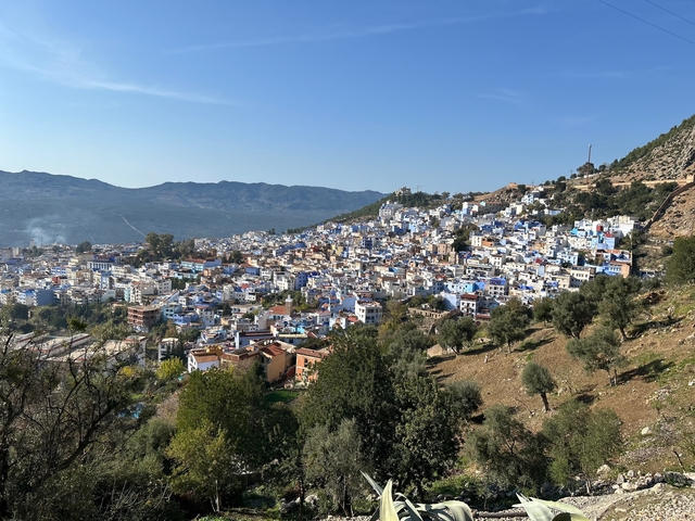 Panoramic view of a town with white and blue buildings.