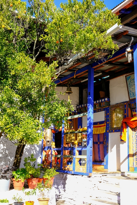 Colorful elements of a Bhutanese monastery with green trees around.