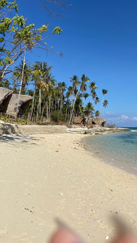       Sandy beach with palm-fringed huts and turquoise waters under a clear sky.
  