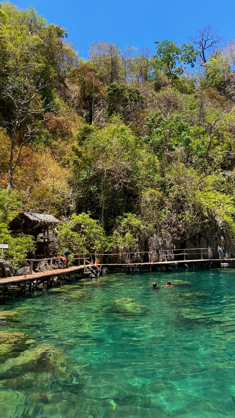       Wooden dock by a clear lake surrounded by rocky cliffs and dense greenery.
  