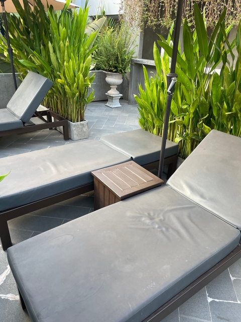       Lounge chairs by a pool with lush green plants.
  
