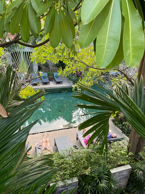       Lush greenery around a blue pool with distant loungers.
  