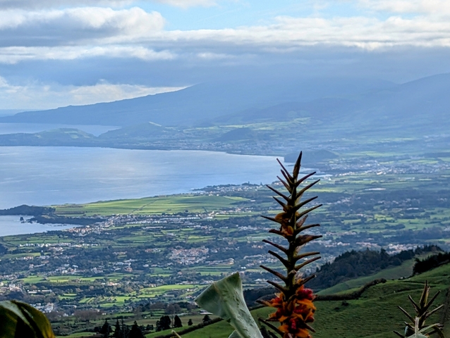 Overlooking view of a lush coastal area from a high vantage point.