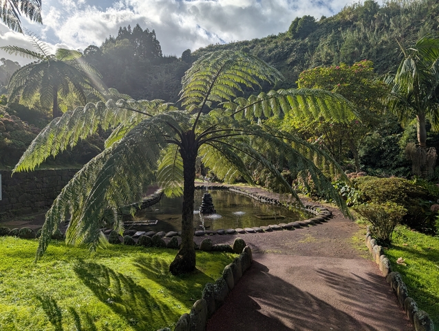 A serene garden setting with a palm-like tree next to a pond.