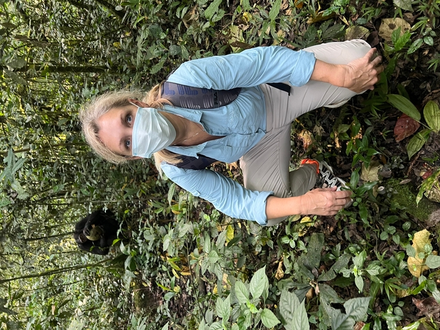 Person in the forest wearing a mask, with a gorilla in the background.