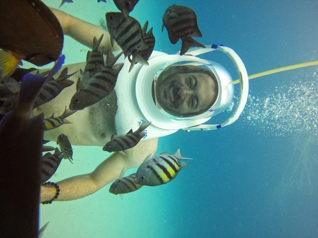 Person with a helmet surrounded by colorful fish underwater.