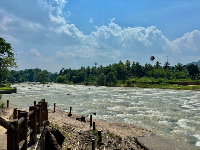 Wide river flowing through a lush landscape with trees.
