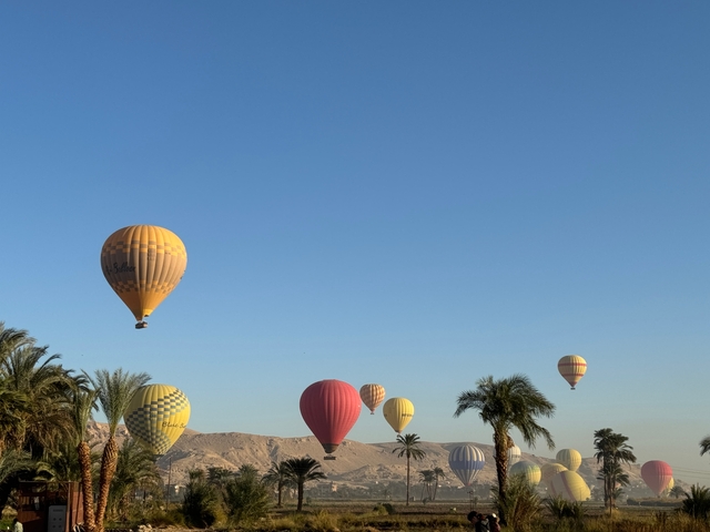 Colorful hot air balloons floating over a lush landscape with palm trees.