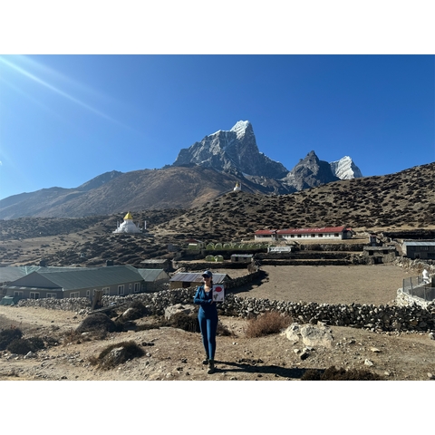       A person standing in a valley with snow-capped mountains in the background.
  