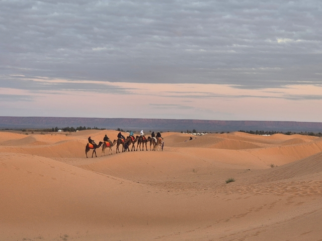 A line of camels with riders traversing sand dunes at sunset.