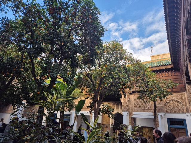       Orchard with orange trees in a courtyard of ornately decorated walls.
  