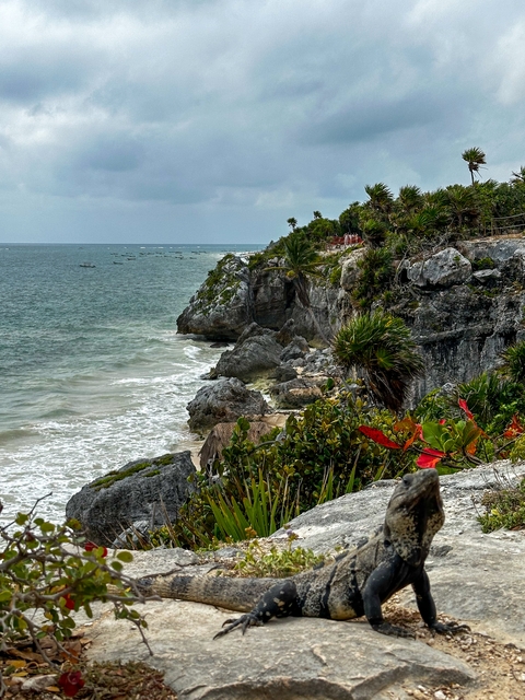 Cliffside with ocean waves and lush foliage.