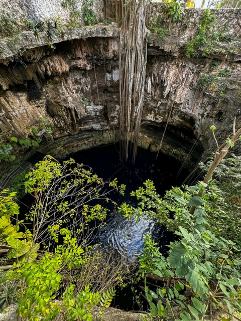 Deep cenote surrounded by greenery.