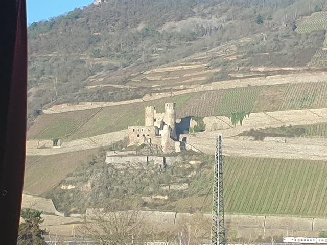       Castle ruins on a hillside with vineyards.
  