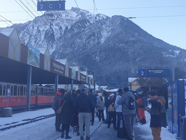       Group of people at a train station with snowy mountains in the background.
  