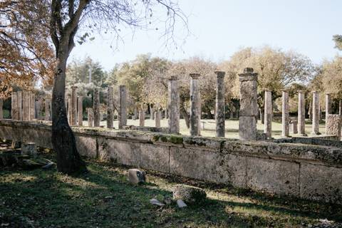       Ancient ruins with columns and trees in the background.
  