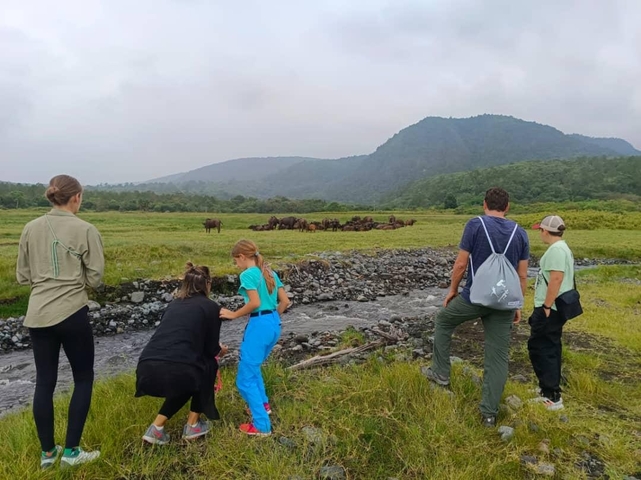 People viewing a herd of animals in the wild.