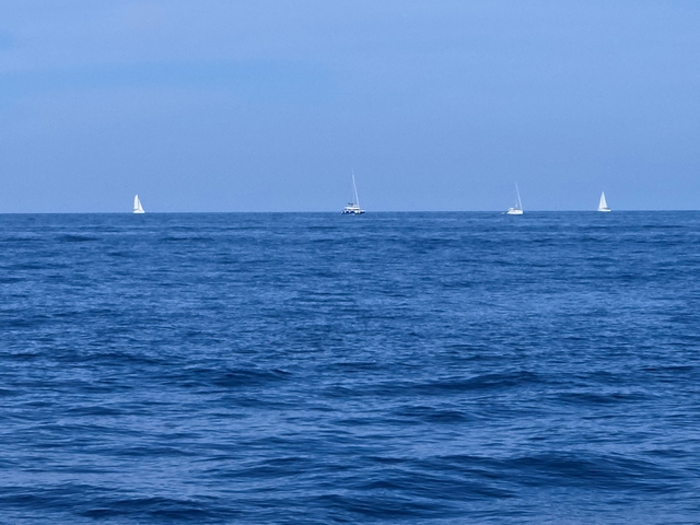Several sailboats on a calm sea.