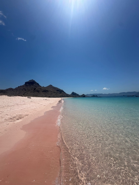 Pink sandy beach with turquoise sea.
