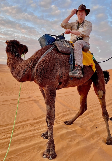       A camel in the desert with a person sitting on it.
  