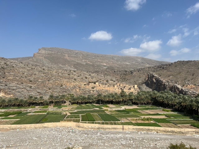 A landscape view of a green agricultural area with mountains.