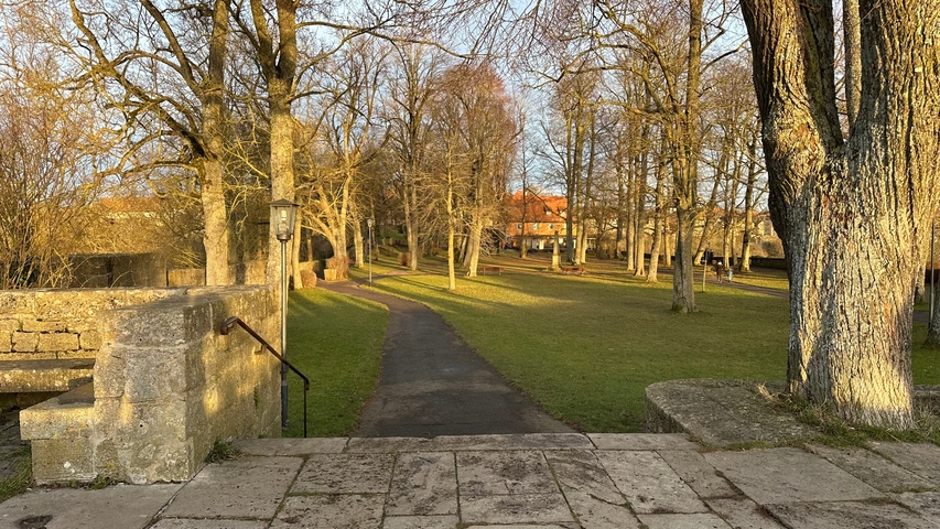 Park pathway lined with trees and historical buildings in the background.