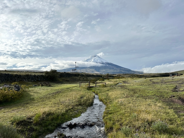 Mountain stream leading to a snow-capped peak.