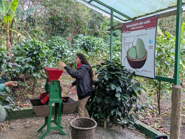       Person demonstrating a coffee machine in a plantation.
  