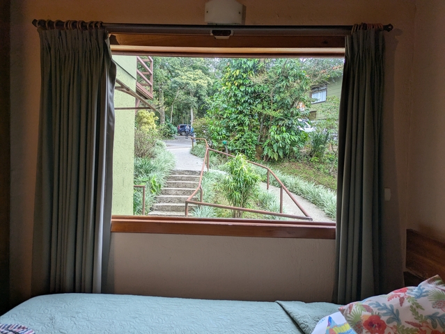 View of a path through a window leading to a green area.